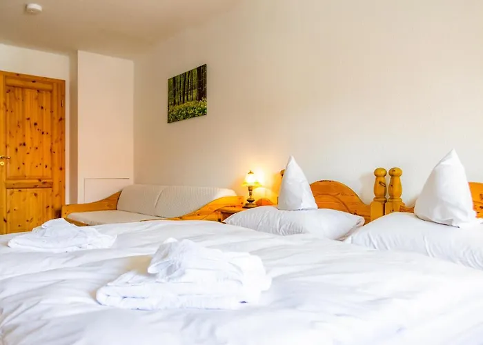 & Restaurant Brauner Hirsch 3*